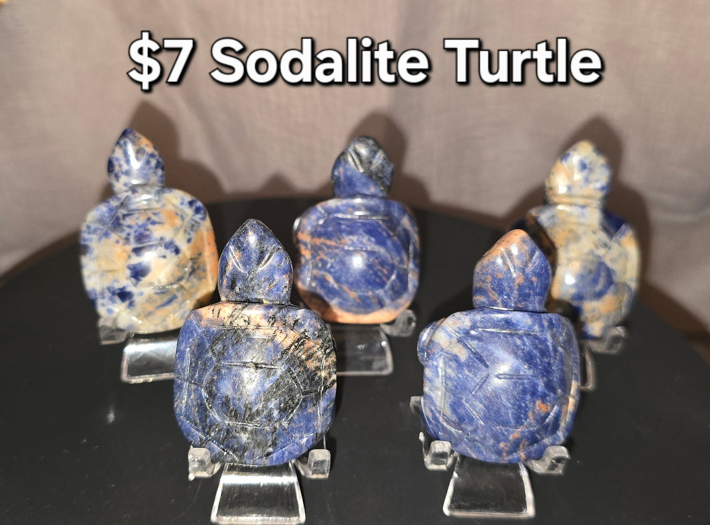 Sodalite Turtle