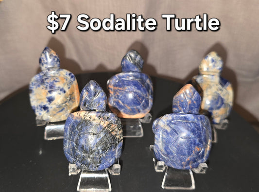 Sodalite Turtle