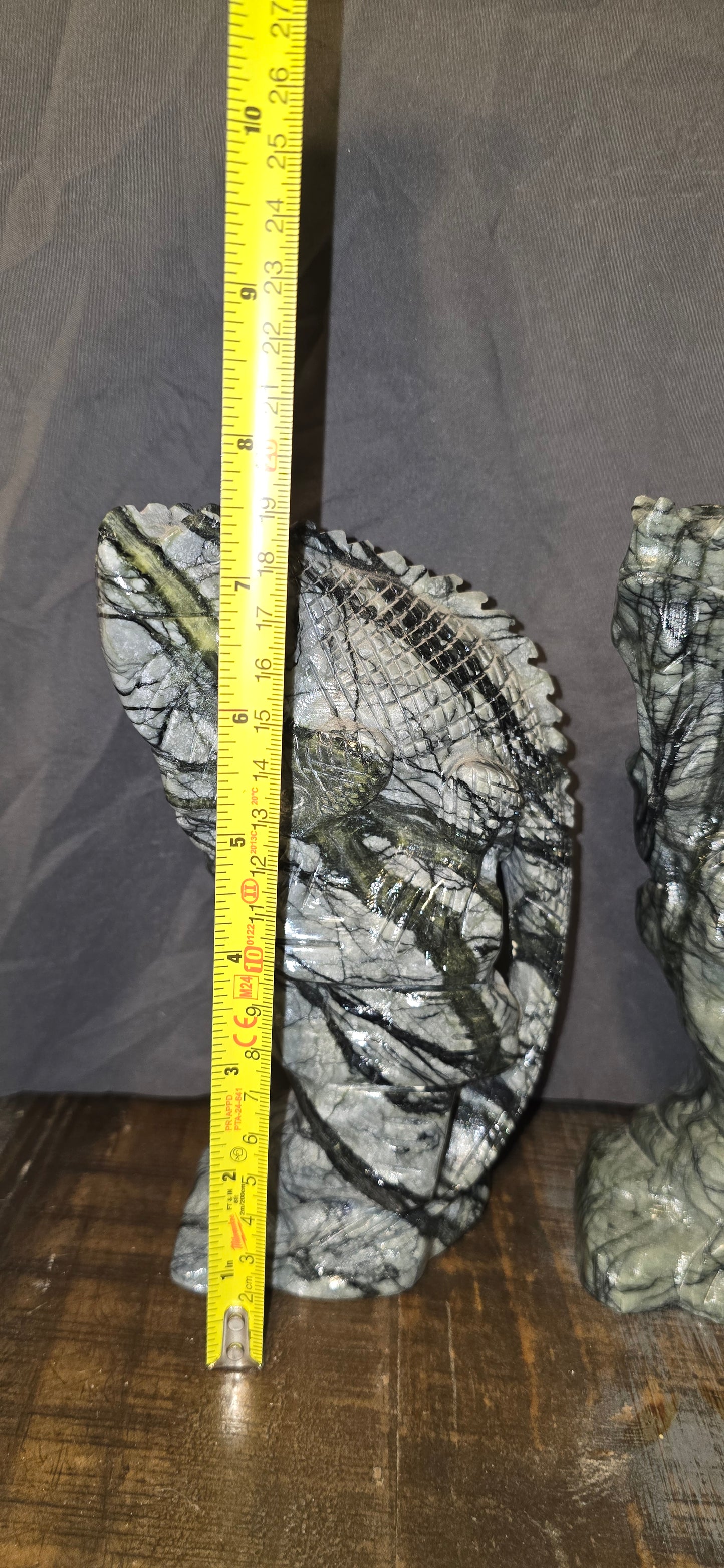 S0315 Network Jasper Chameleon