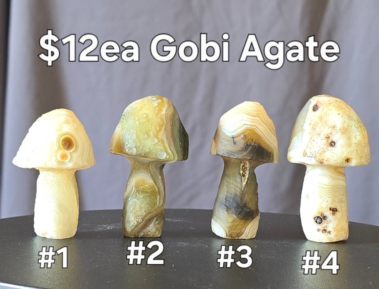 S0437 Gobi Agate Mushroom