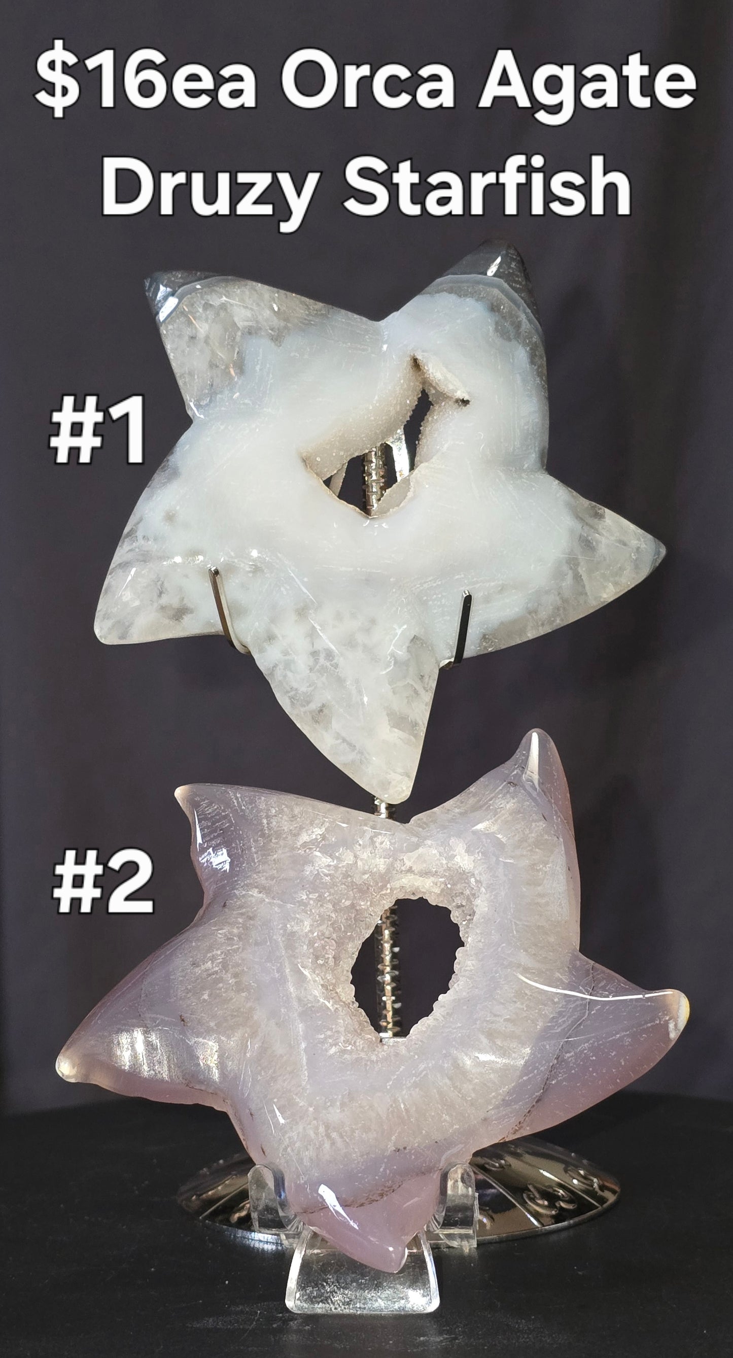 S0391 Orca Agate Starfish