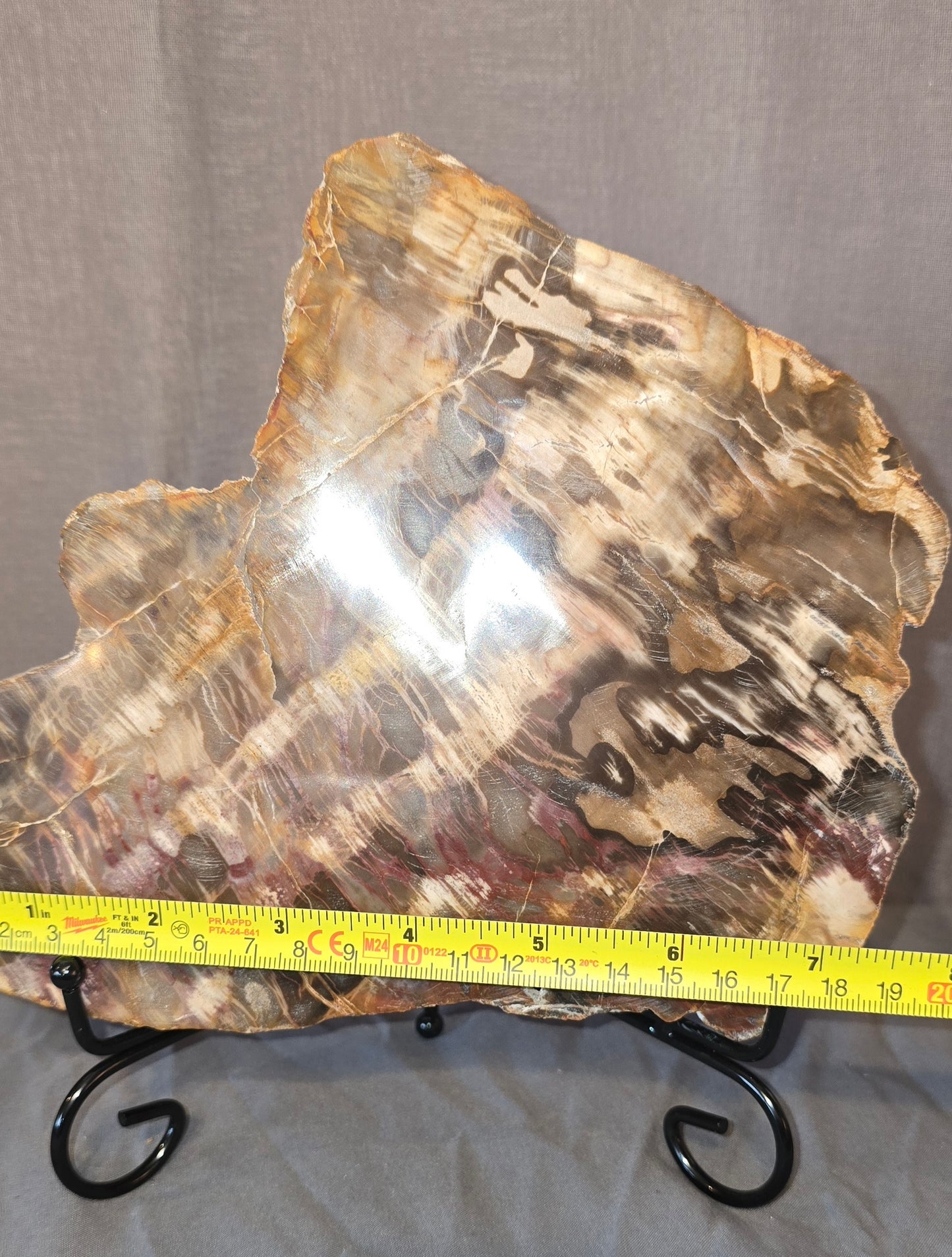 S0239 Petrified Wood Slab