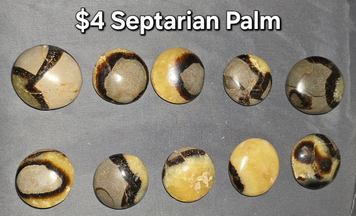 Septarian Round Palm