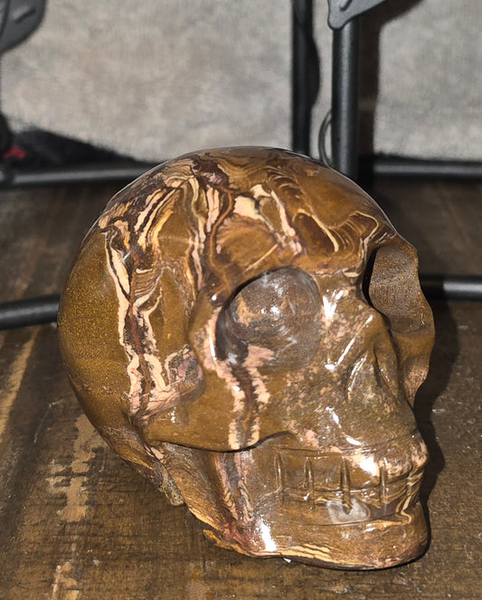 S0052 Outback Jasper Skull