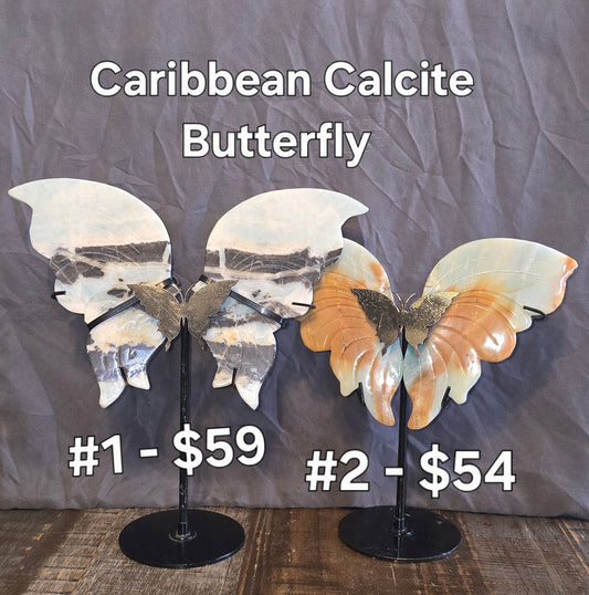 S0112 Caribbean Calcite Butterfly