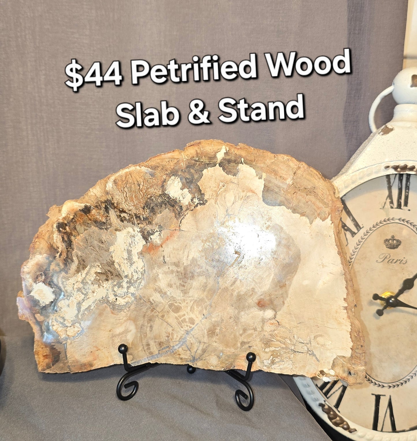 Petrified Wood Slab & Stand