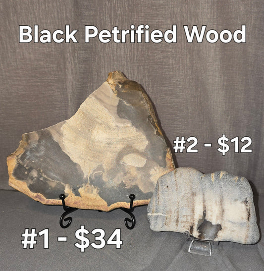 S0241 Black Petrified Wood Slab
