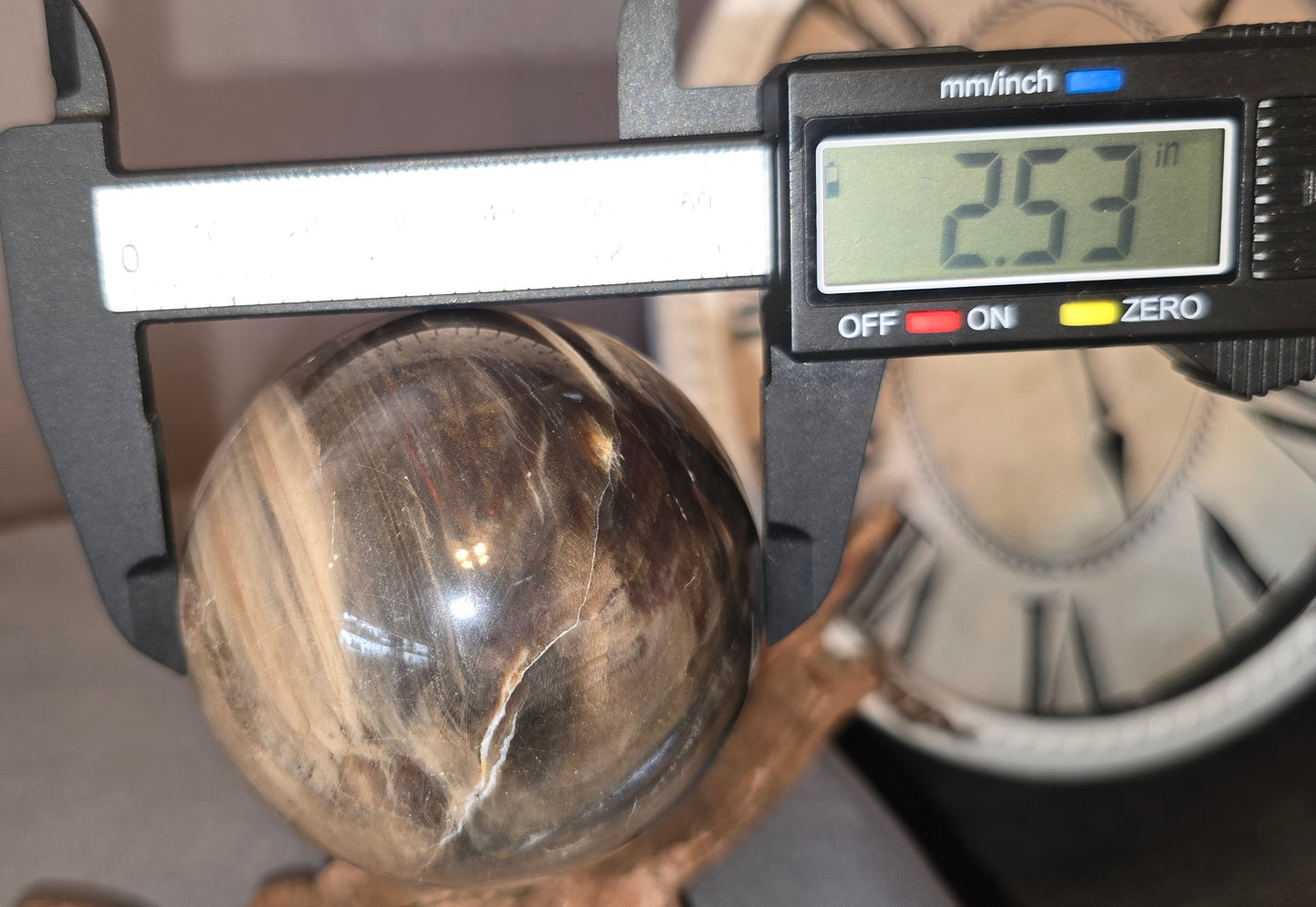 Petrified Wood Sphere