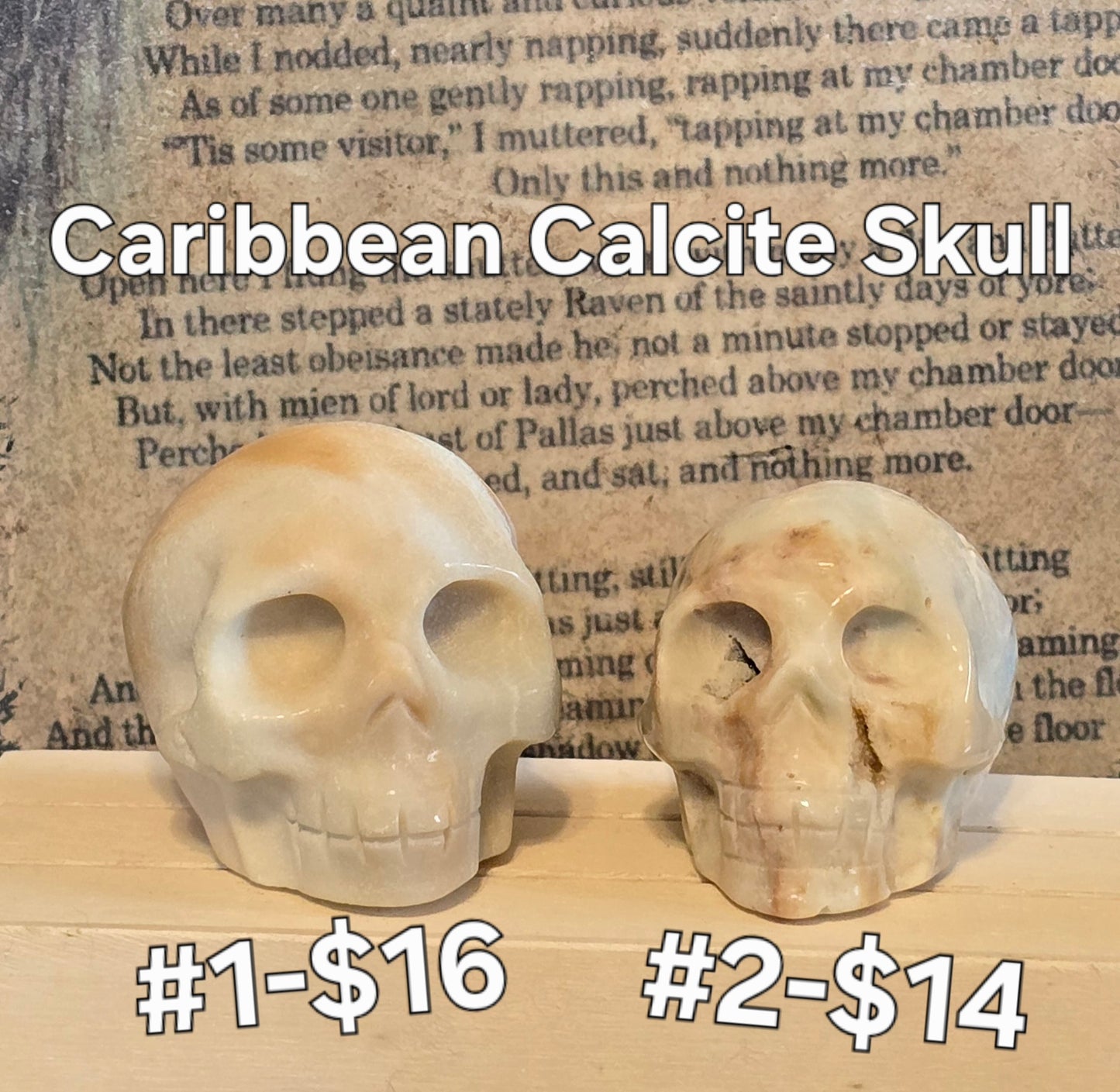 S0135 Caribbean Calcite Skull #1