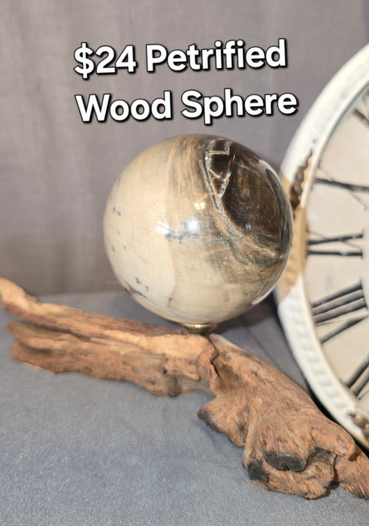 Petrified Wood Sphere
