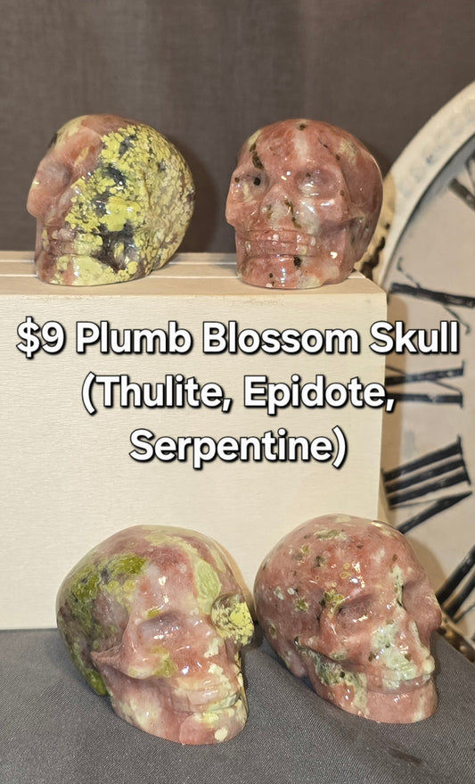Plumb Blossom Skull