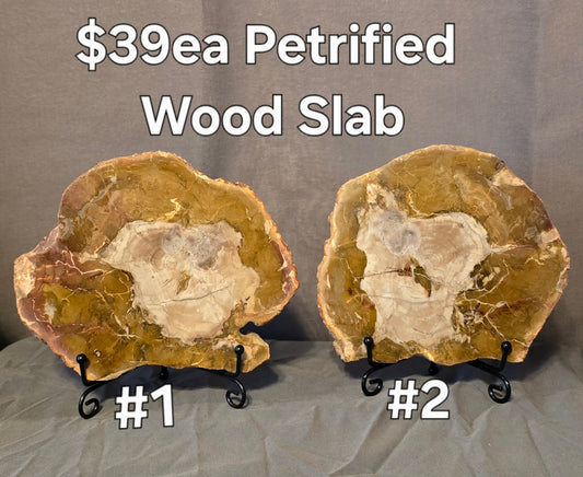 S0243 Petrified Wood Slab
