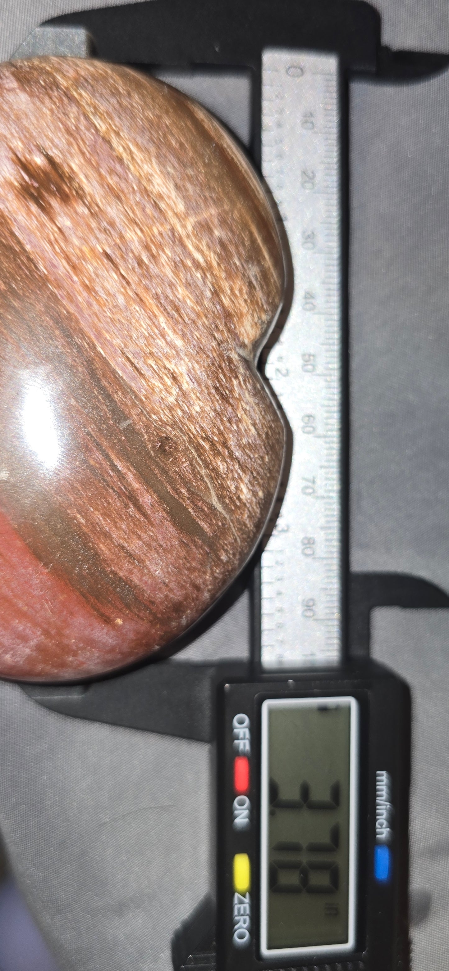 Petrified Wood Heart