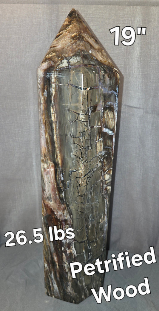 S0318 Petrified Wood GIANT Tower