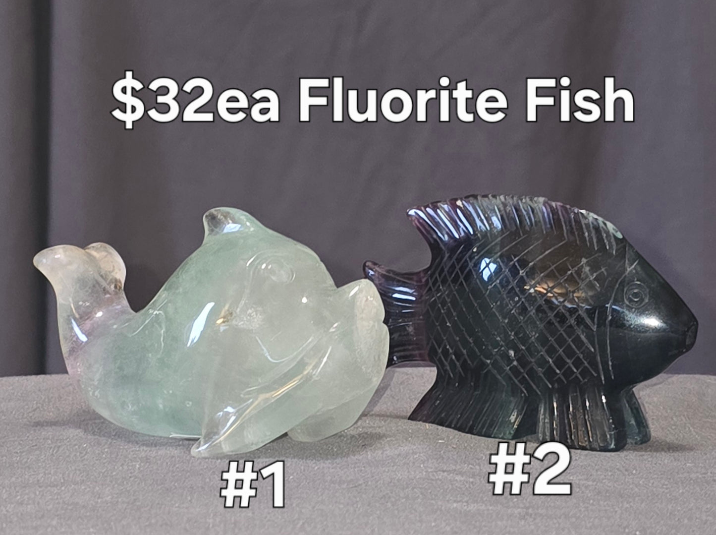 S0415 Fluorite Fish