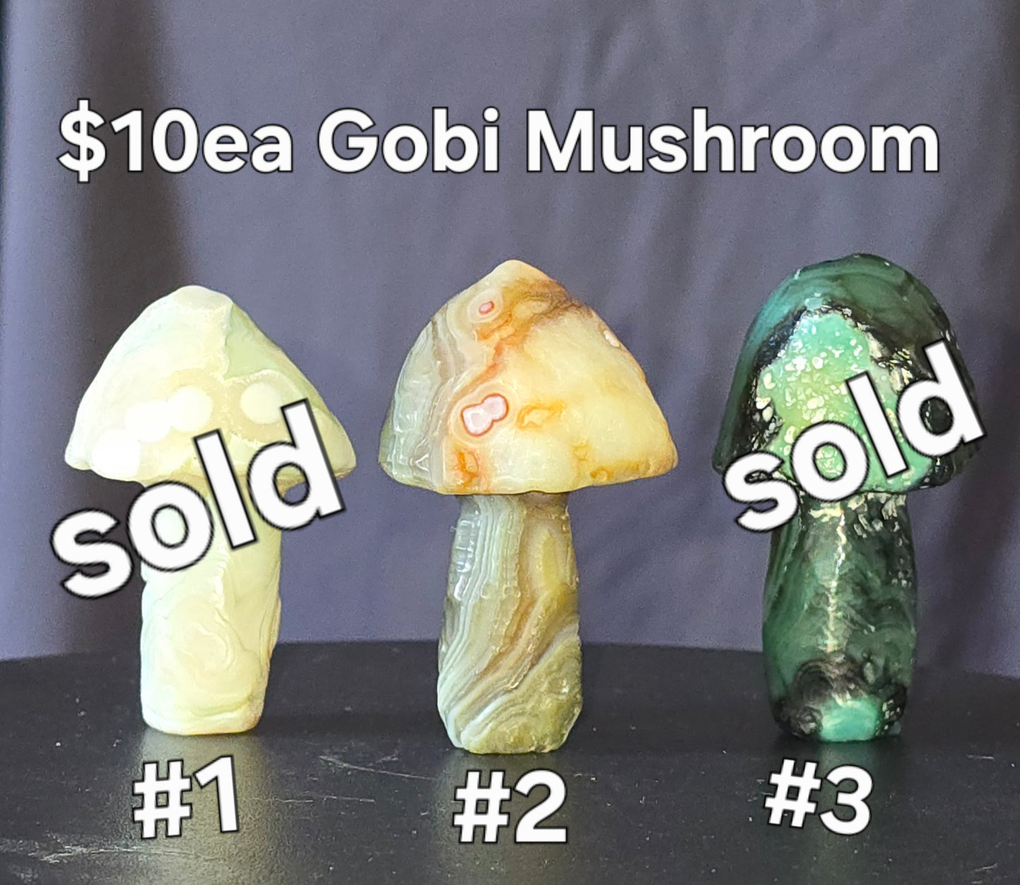 S0436 Gobi Agate Mushroom