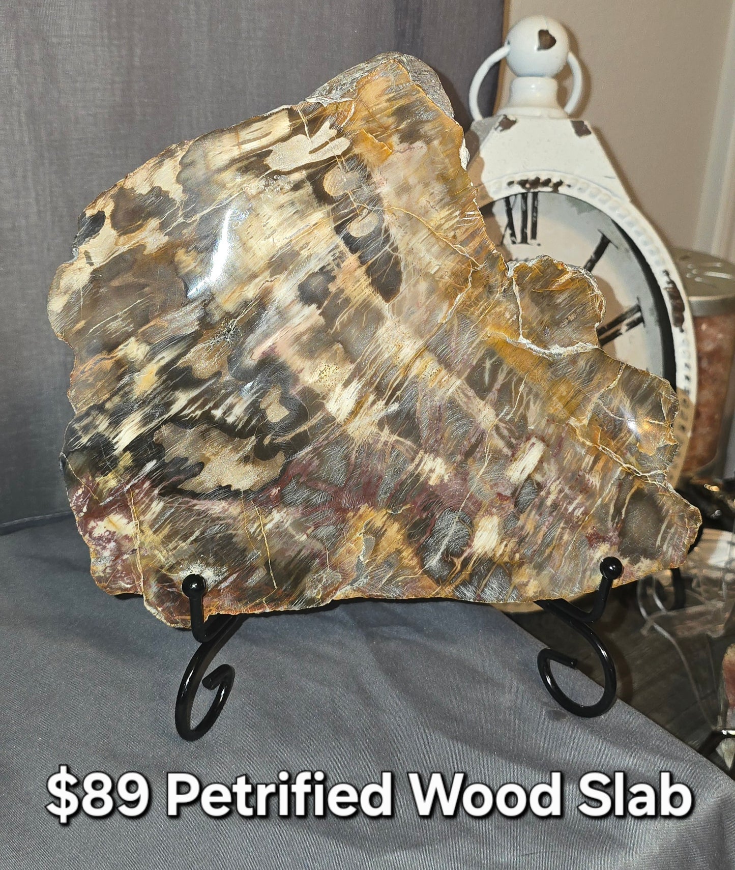 Petrified Wood Slab & Stand