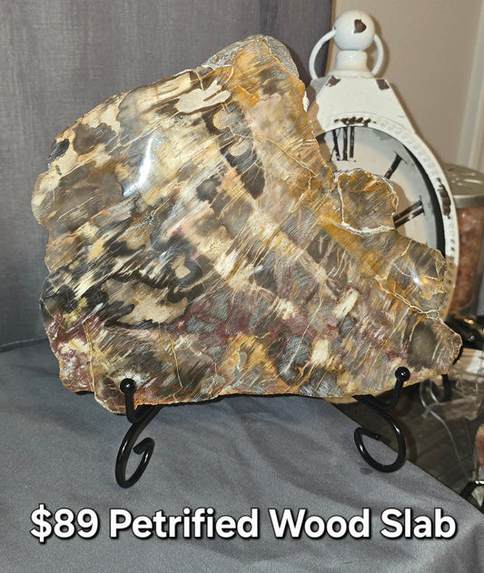 Petrified Wood Slab & Stand