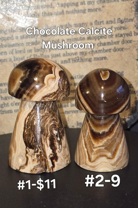 S0218 Chocolate Calcite Mushroom