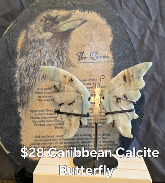 S0116 Caribbean Calcite Butterfly