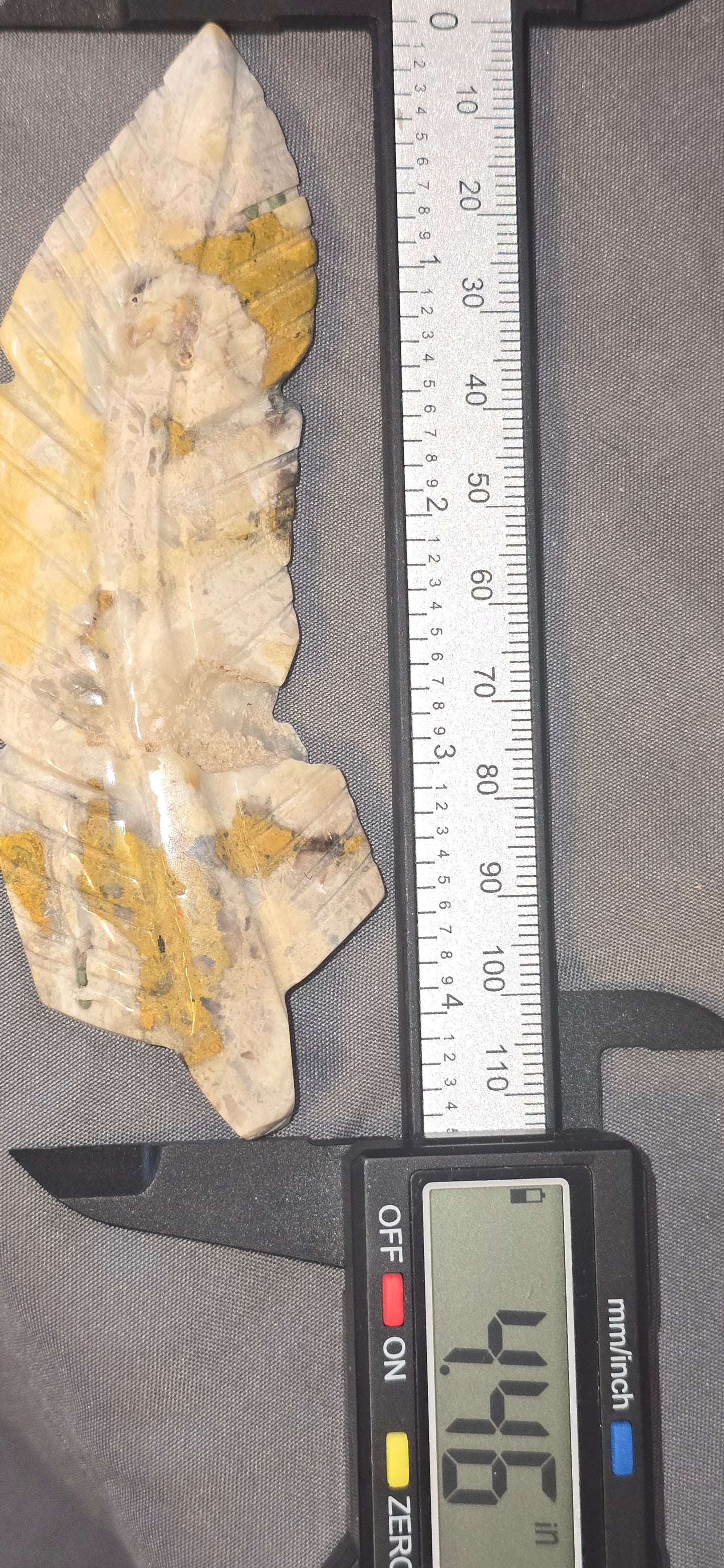 Mexican Crazy Lace Feather