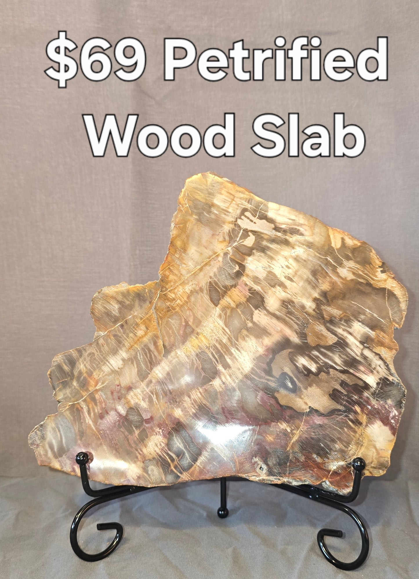 S0239 Petrified Wood Slab
