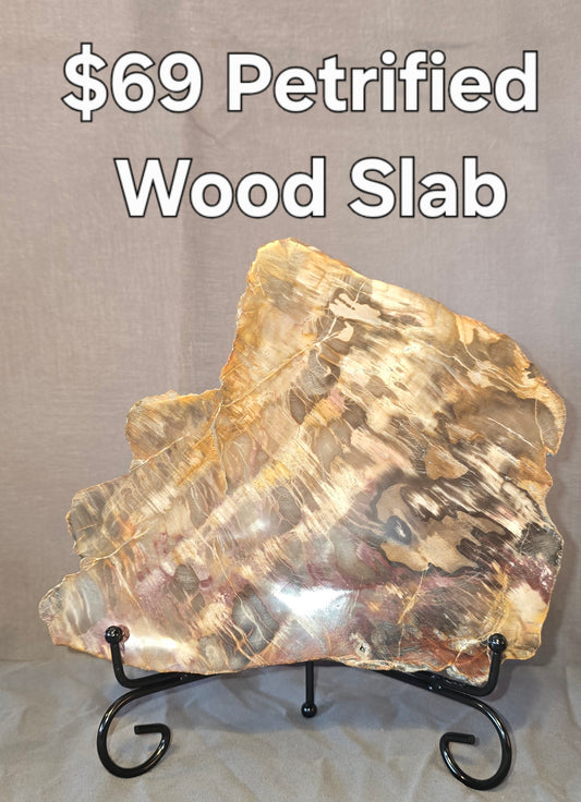 S0239 Petrified Wood Slab