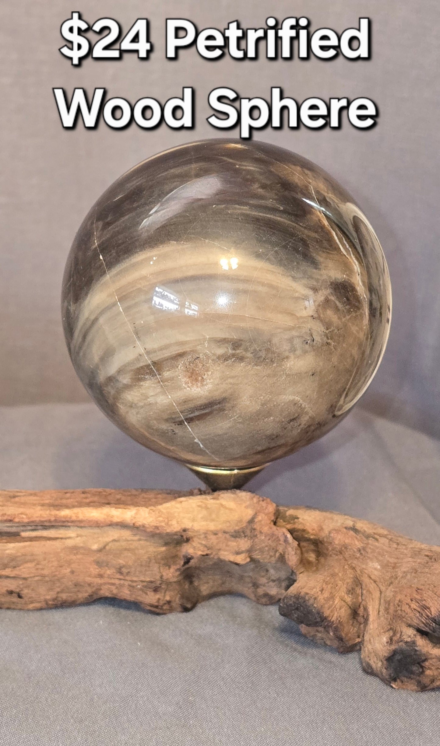 Petrified Wood Sphere