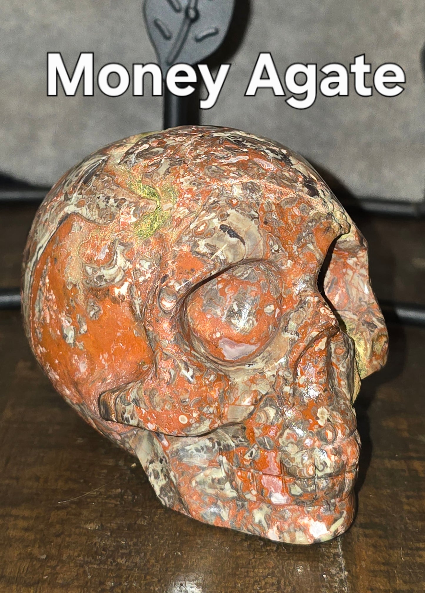 S0062 Money Agate Skull