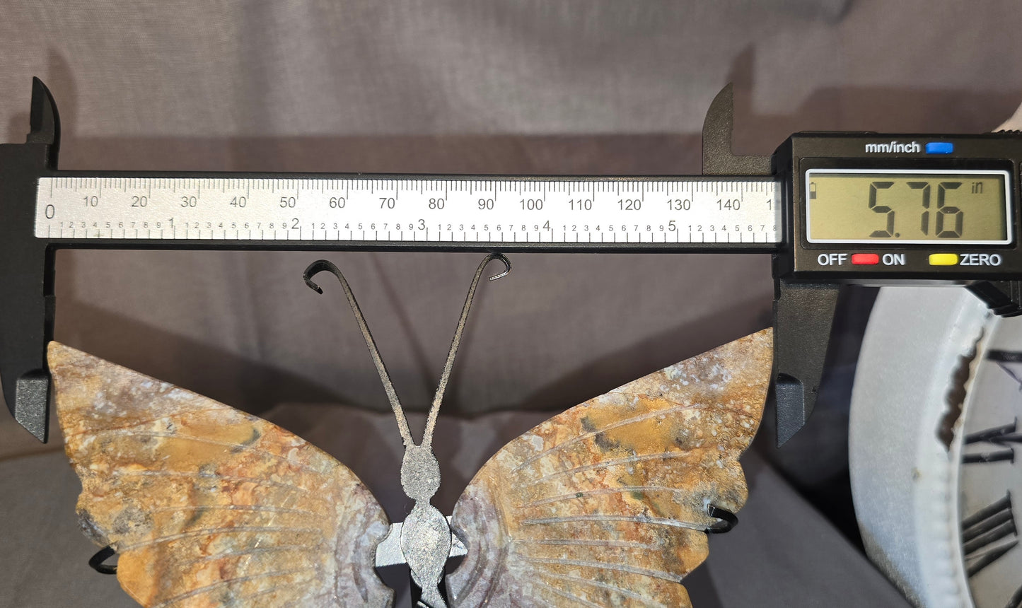 Ocean Jasper Butterfly