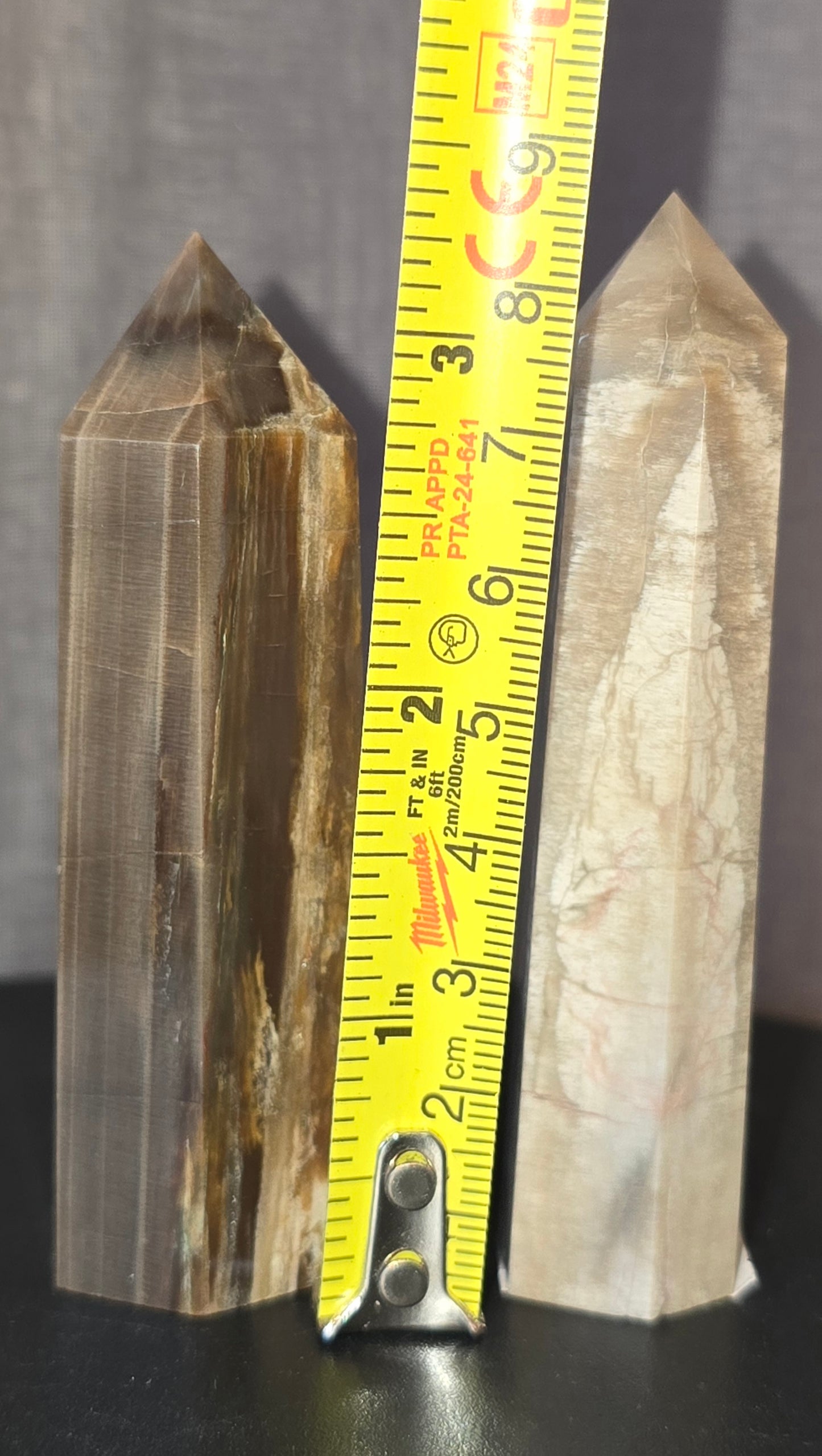 S0325 Petrified Wood Point