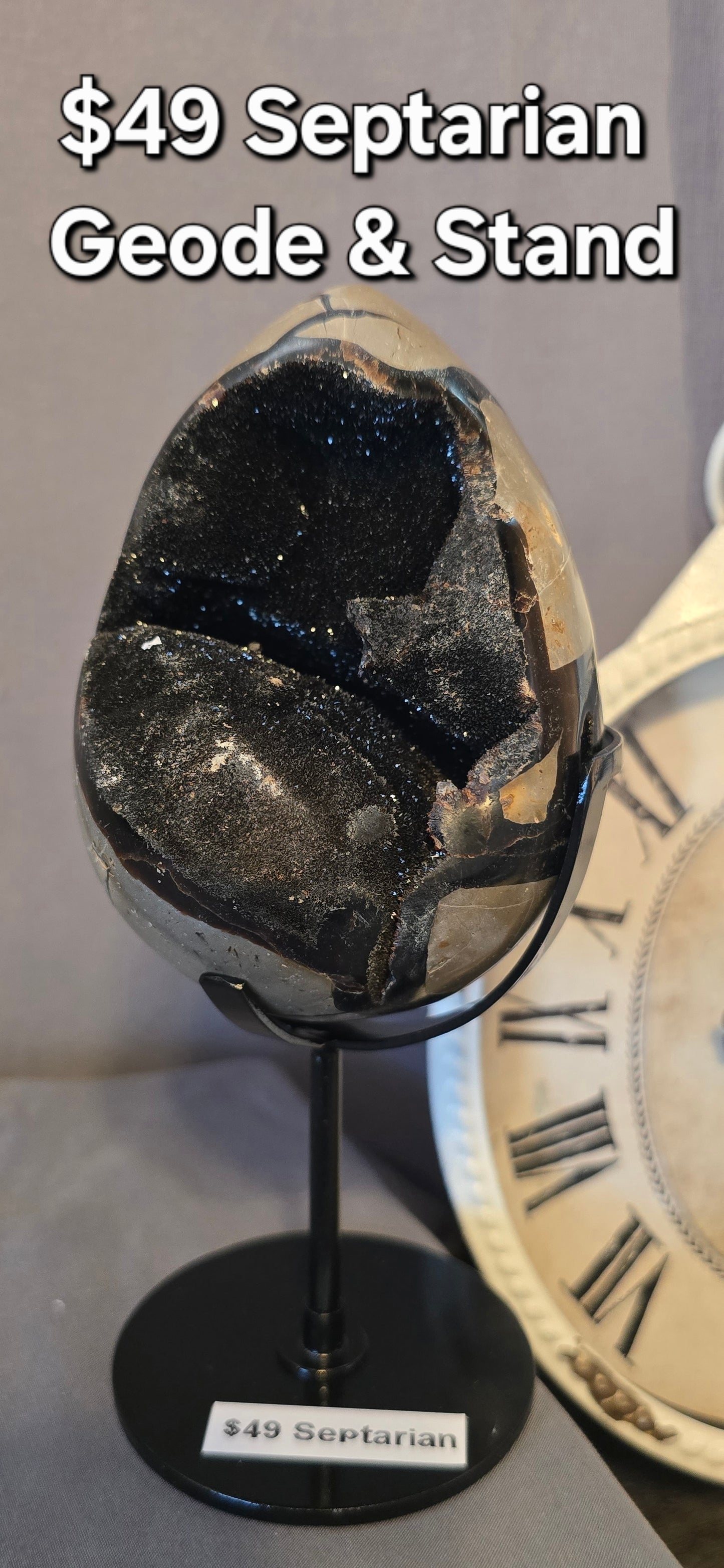 Septarian Geode Egg & Stand