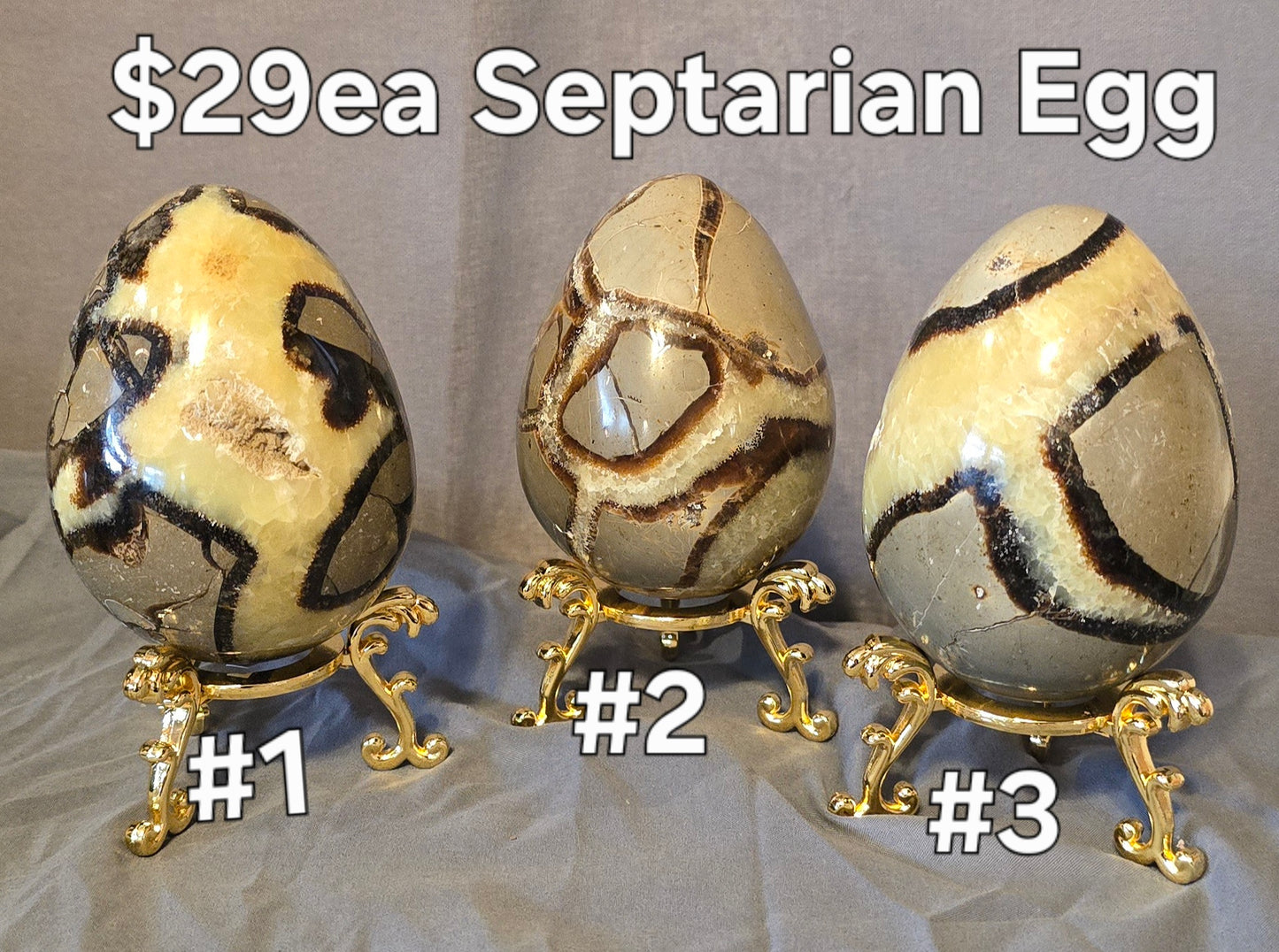 S0360 Septarian Egg