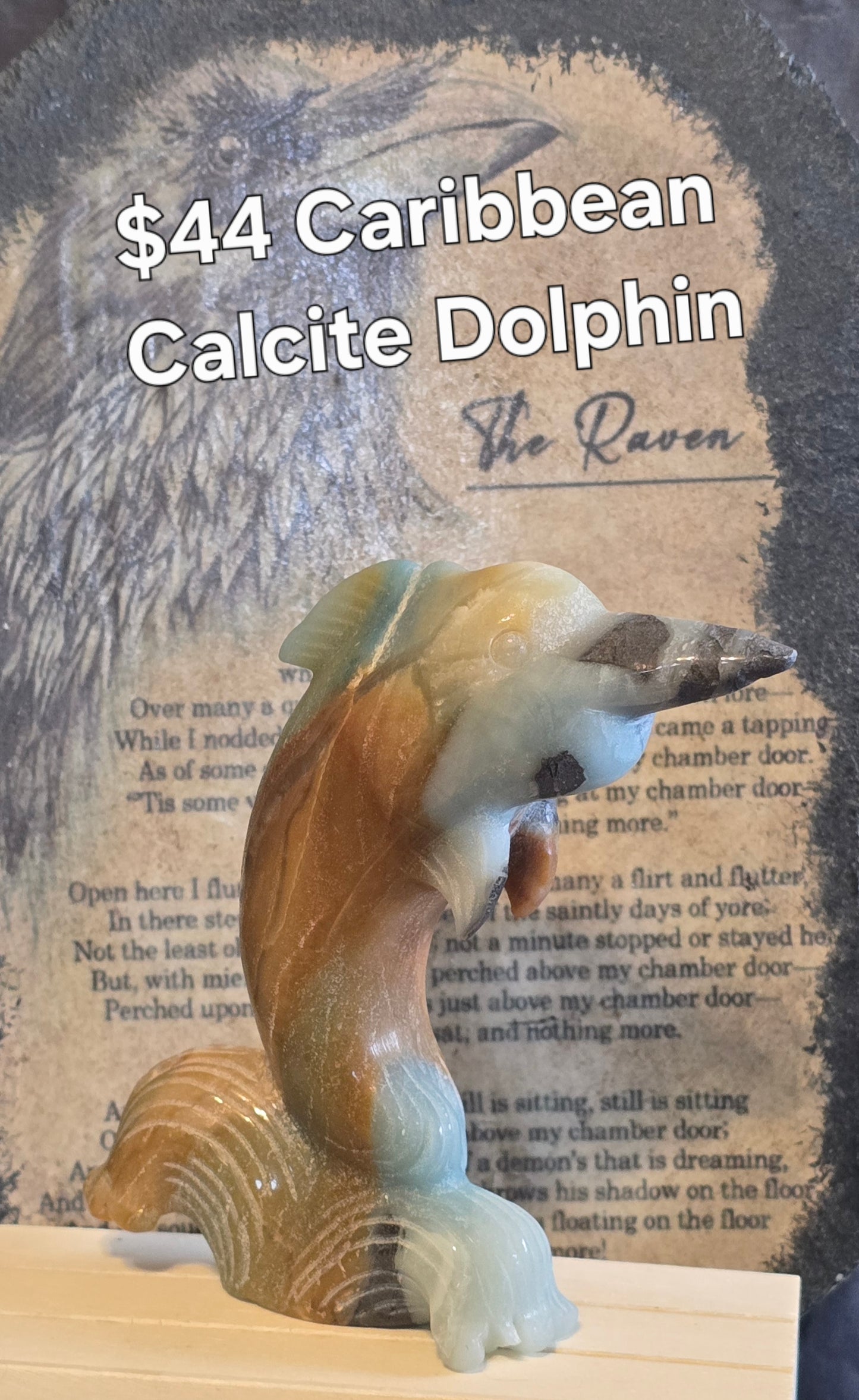 S0140 Caribbean Calcite Dolphin