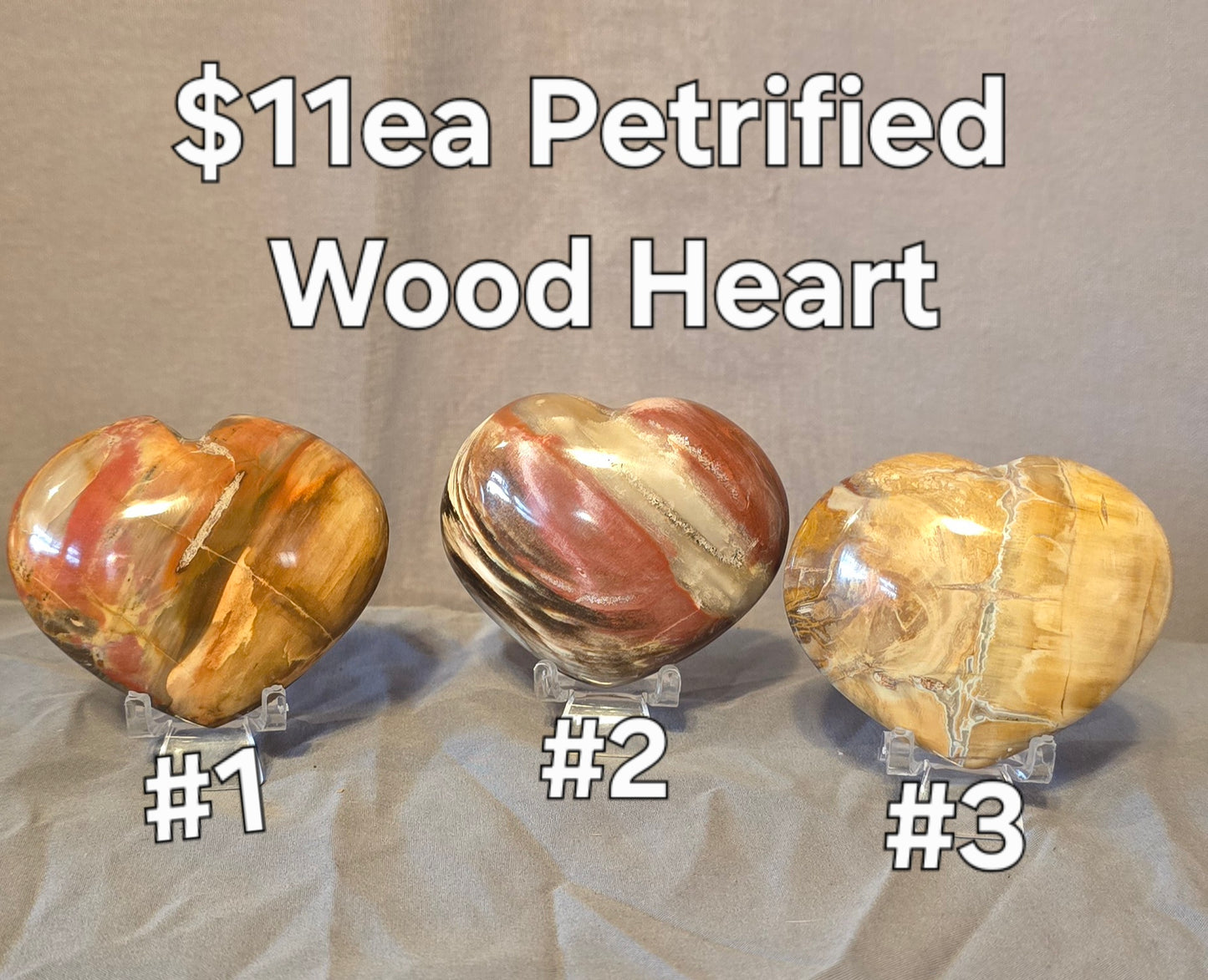 S0351 Petrified Wood Heart