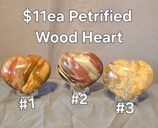 S0351 Petrified Wood Heart