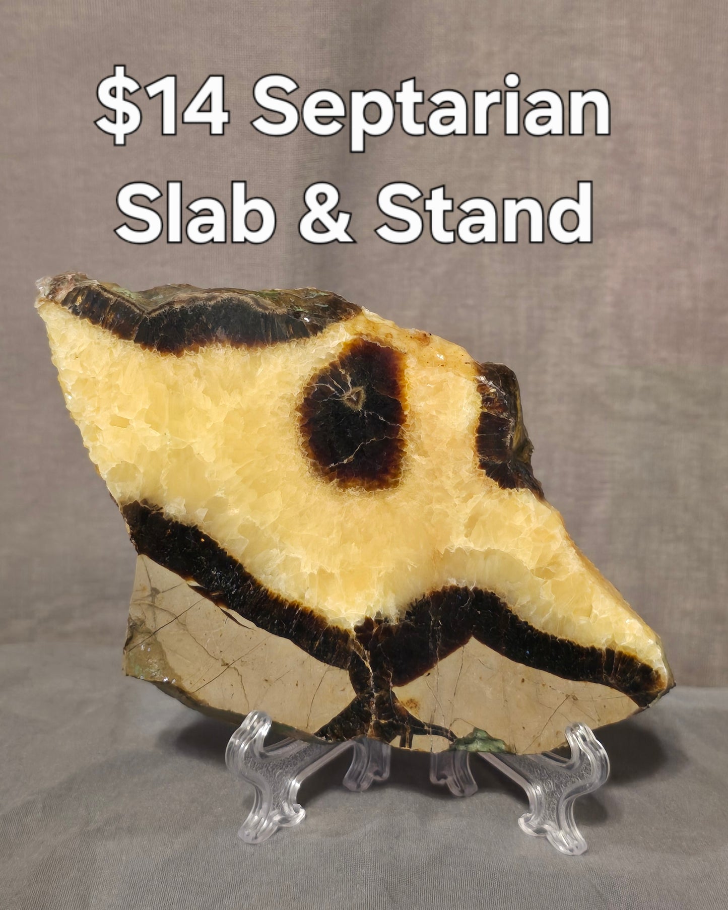 S0375 Septarian Slab