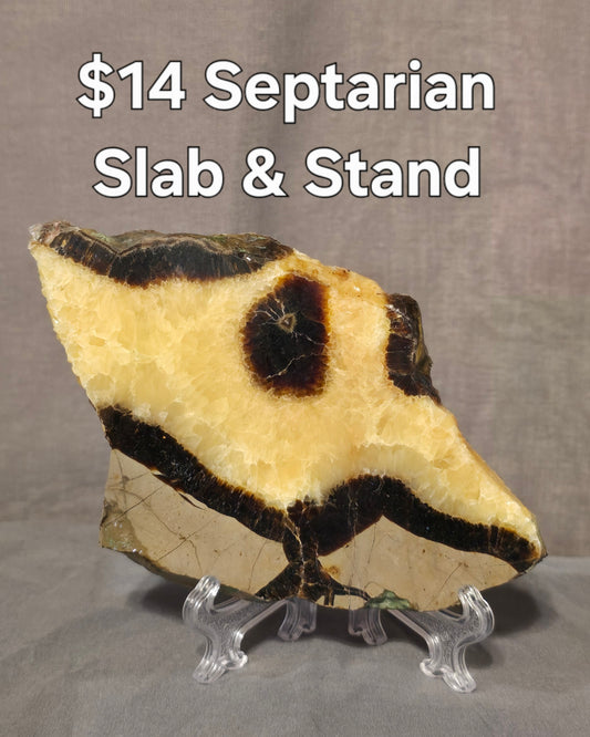 S0375 Septarian Slab