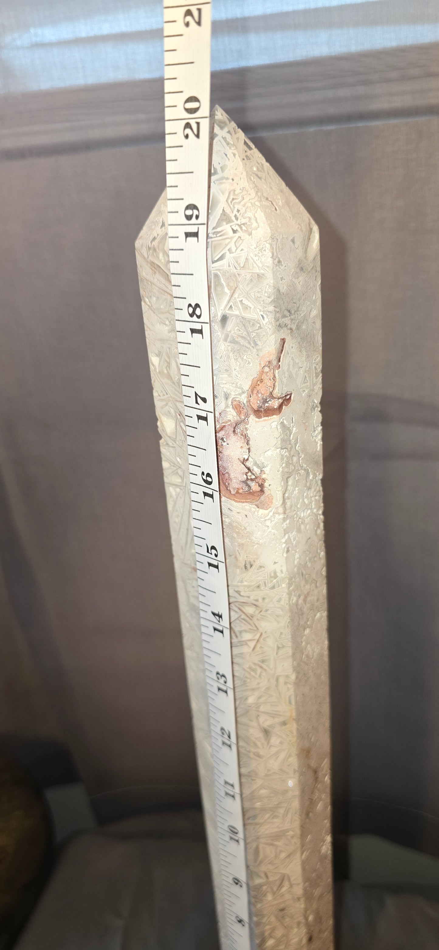 White Mexican Crazy Lace Giant Tower & Custom Stand