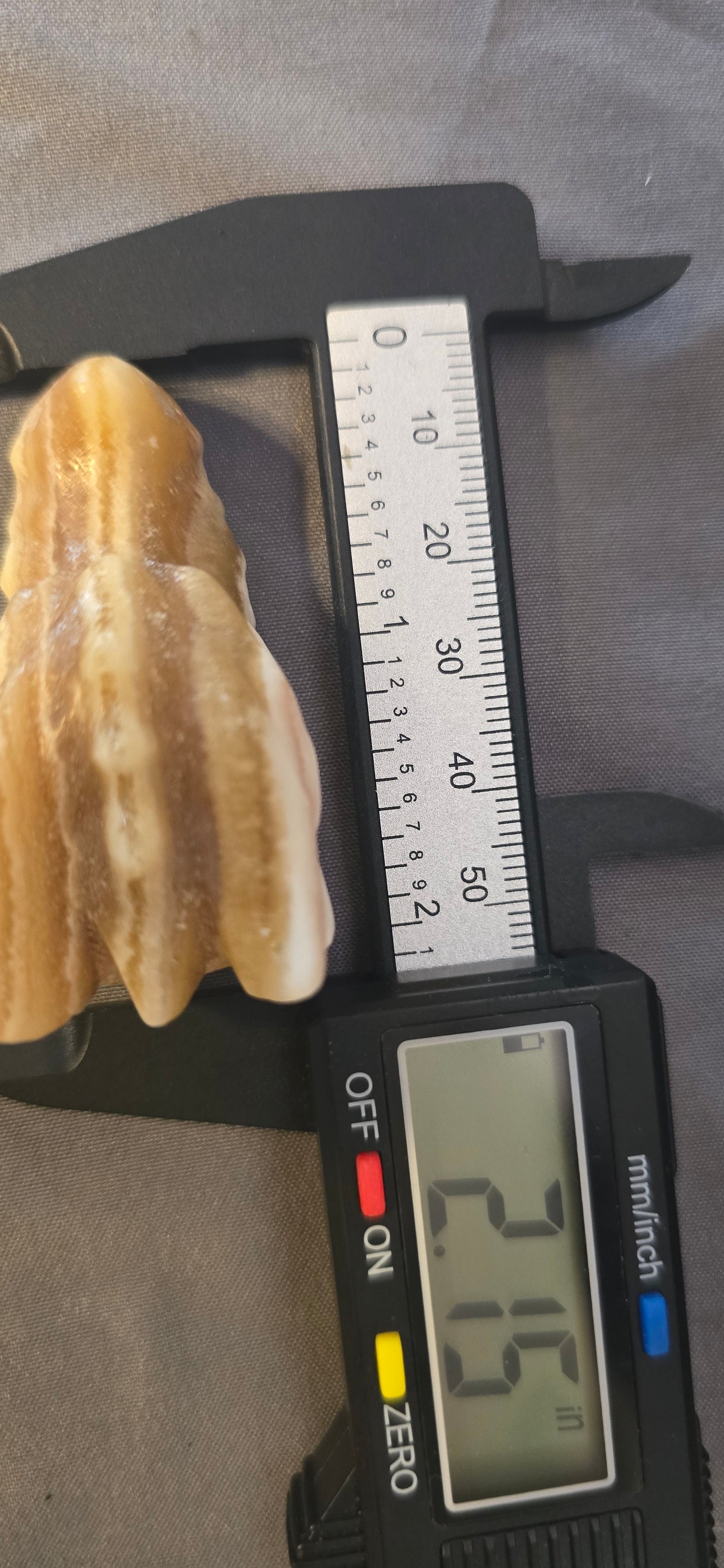 Honey Calcite Dragon Head