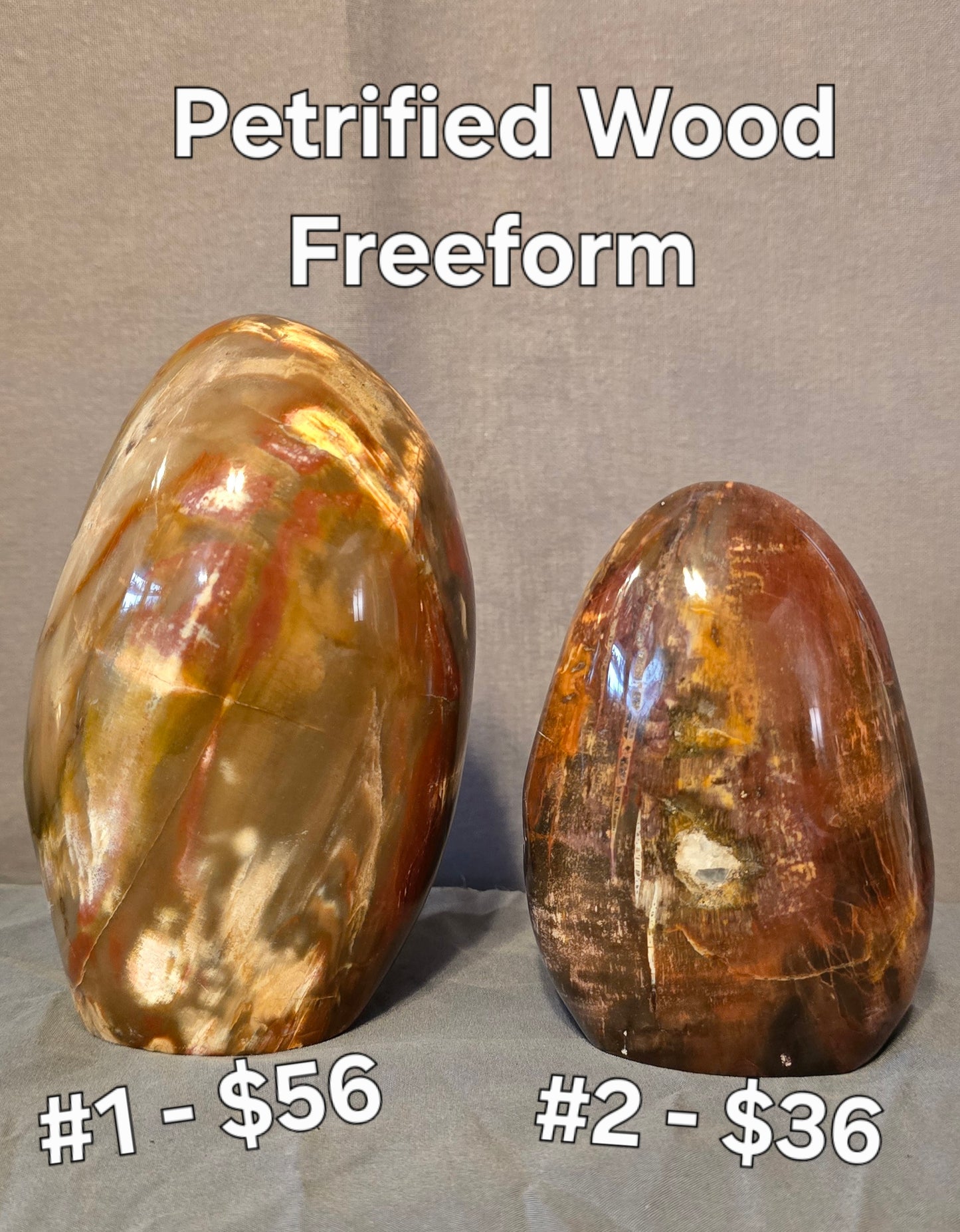 S0345 Petrified Wood Freeform