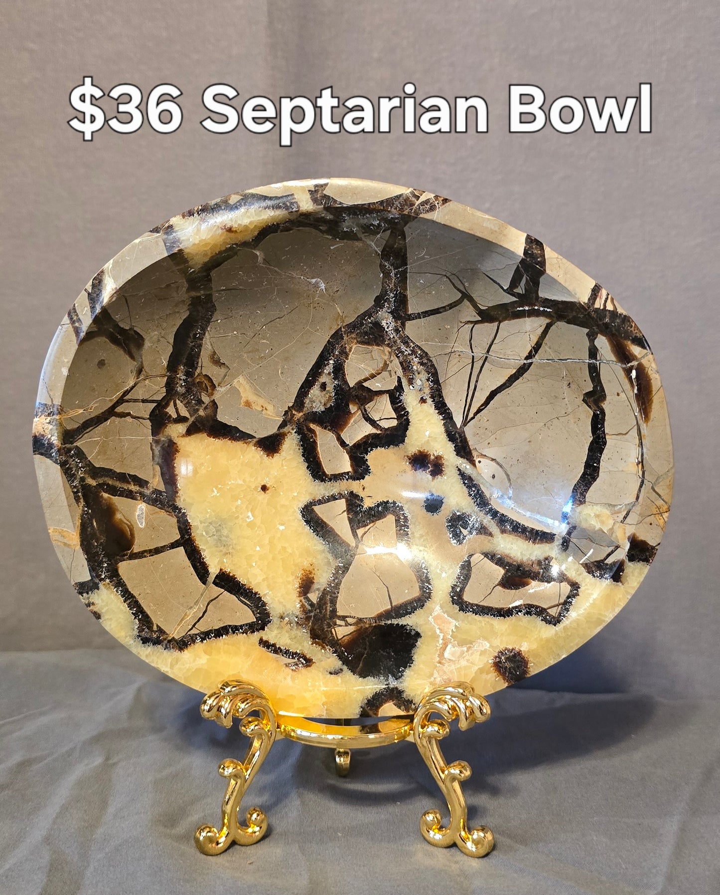 S0364 Septarian Bowl