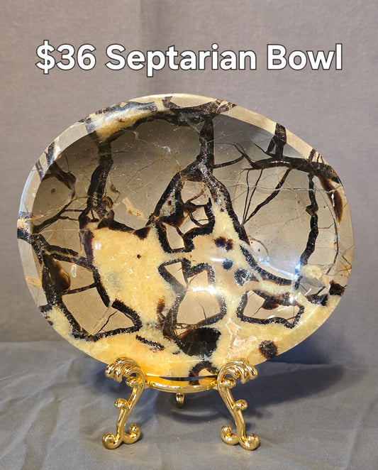 S0364 Septarian Bowl