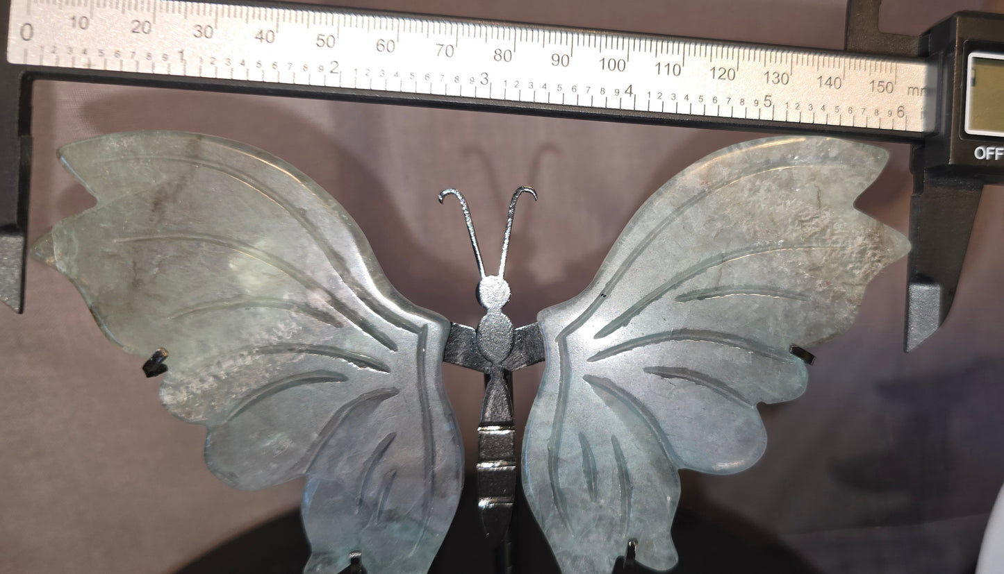 Fluorite Butterfly