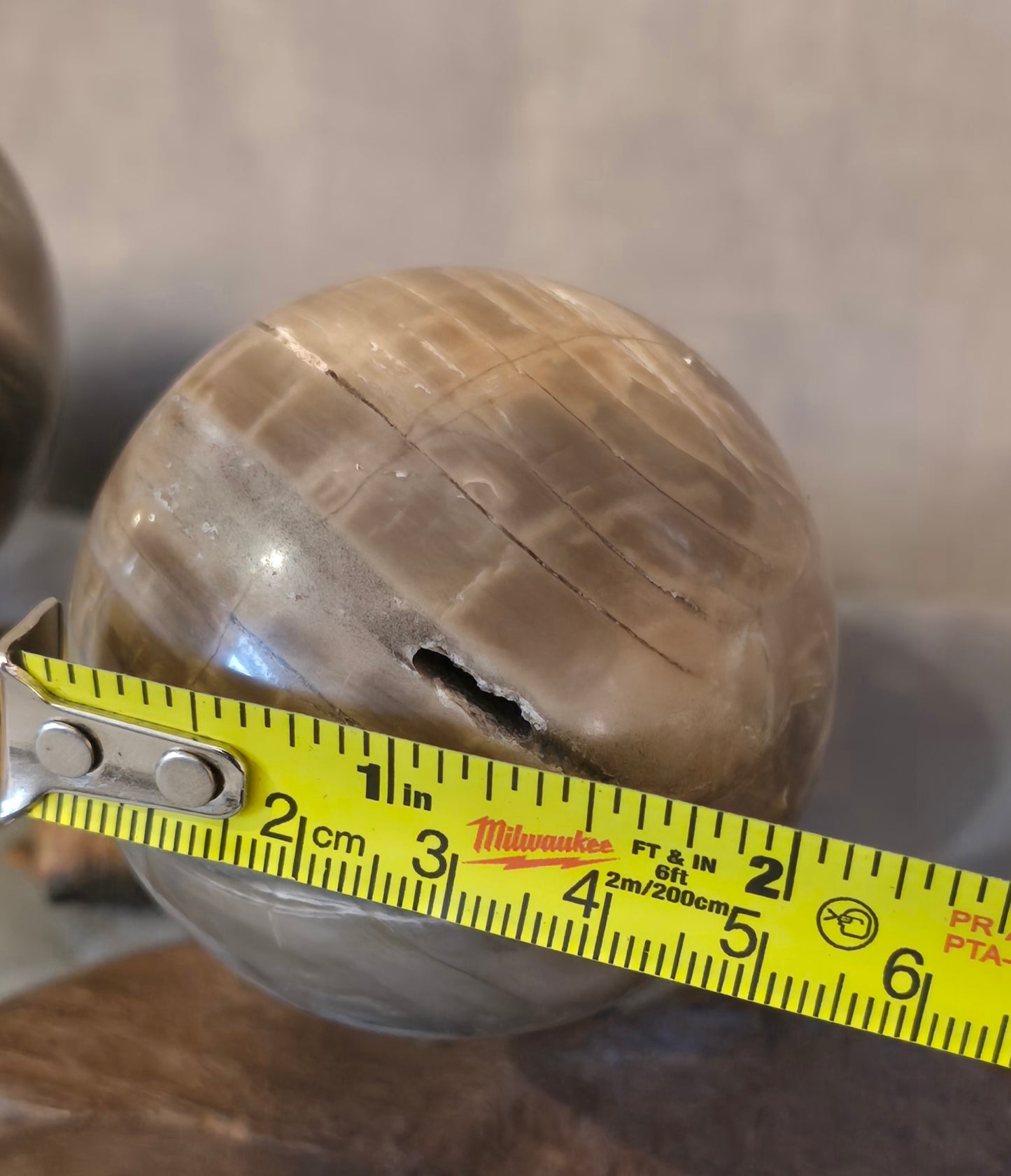 S0356 Petrified Wood Sphere