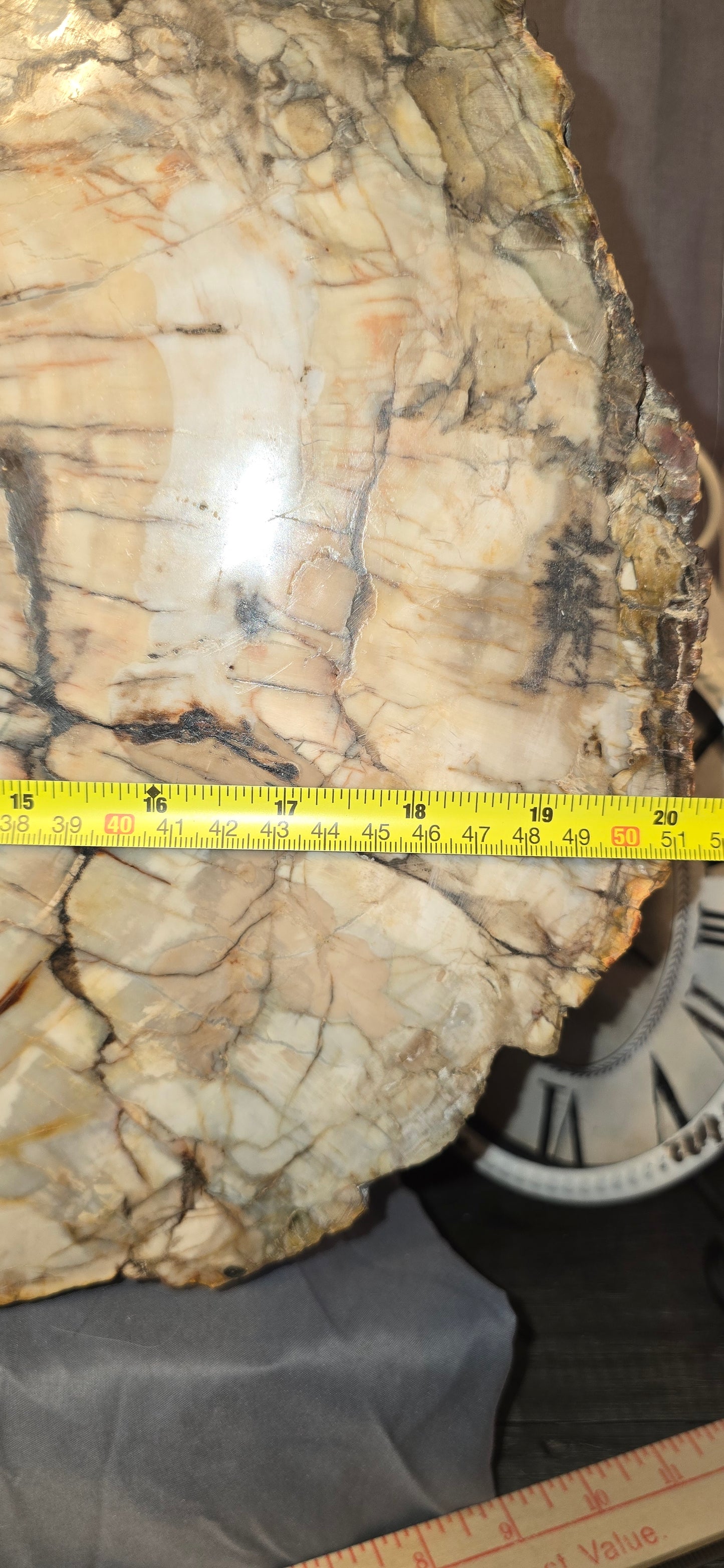 S0319 Petrified Wood Slab