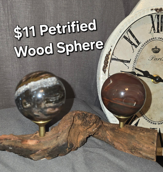 Petrified Wood Sphere