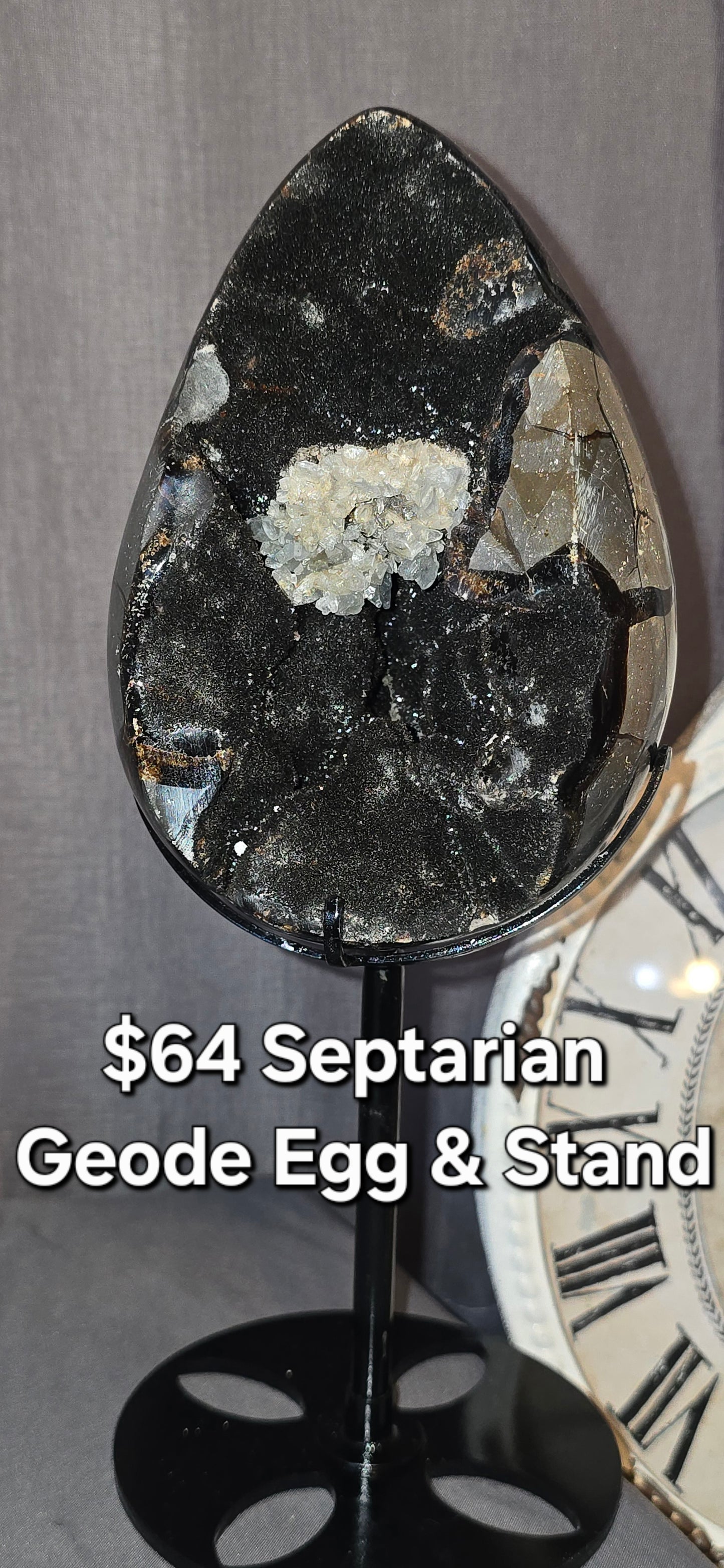 Septarian Geode Egg & Stand