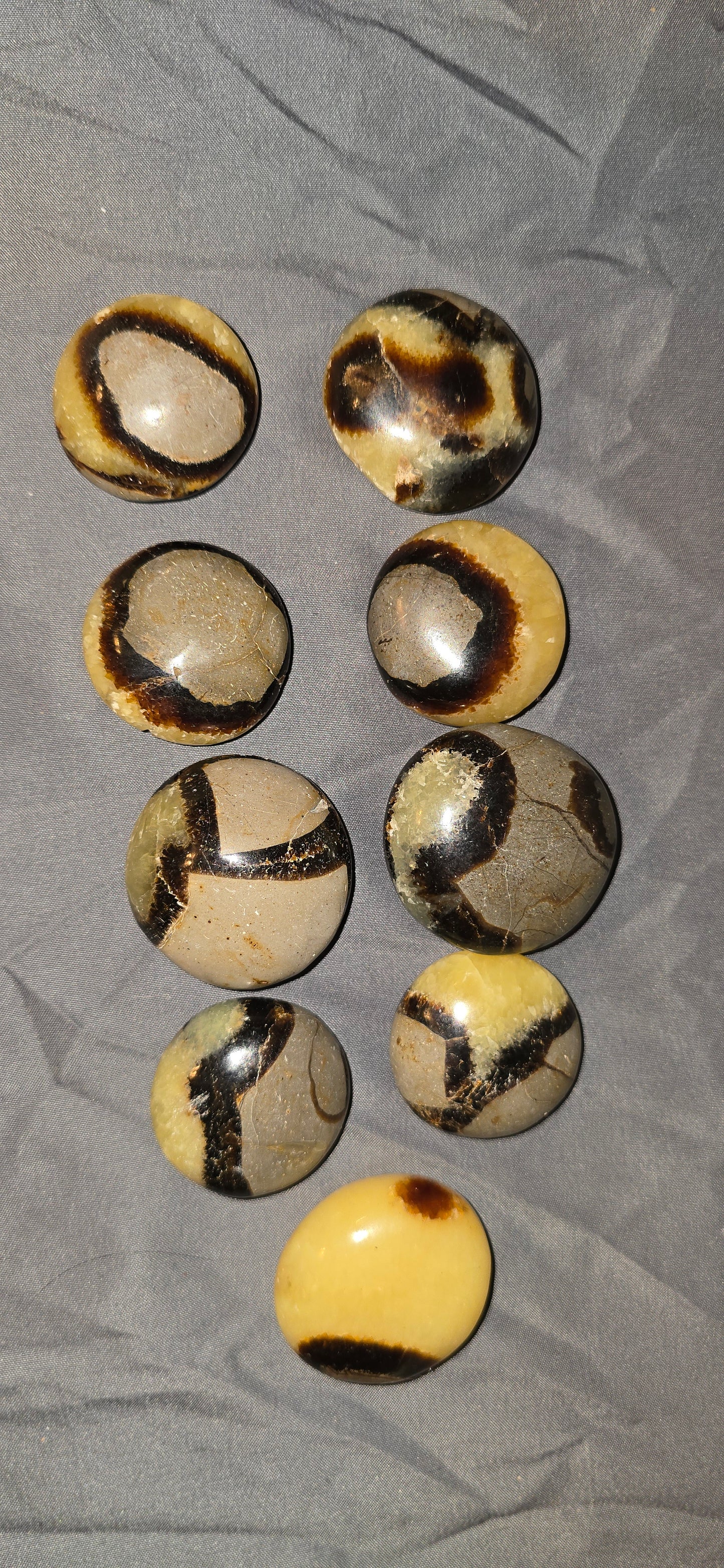 S0380 Septarian Palmstone