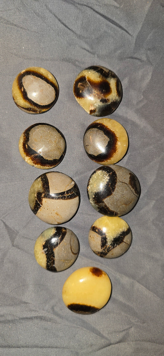 S0380 Septarian Palmstone